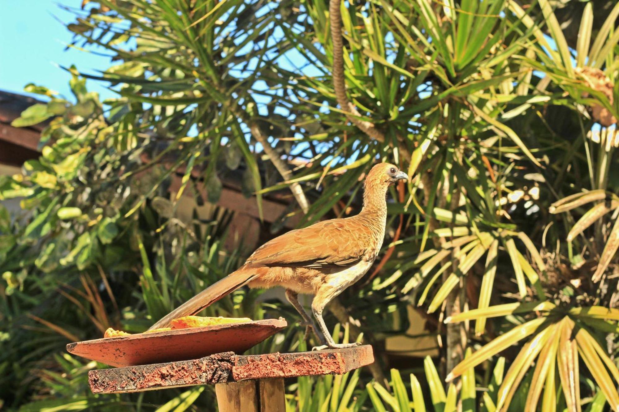 Pousada Fragata - Arraial D Ajuda - Melhor Localizacao E Atendimento Arraial d'Ajuda Dış mekan fotoğraf